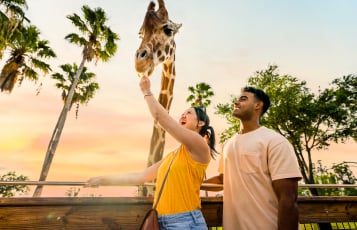 Busch Gardens Tampa Bay